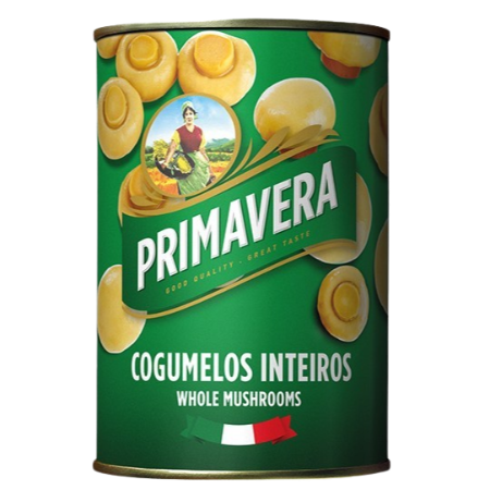 PRIMAVERA COGUMELOS