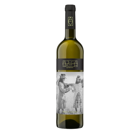 adega maior reserva vinho
